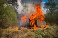 У Шептицькому районі надзвичайними врятували від вогню понад 10 будинків