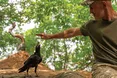 Не тільки каркають, а й дружать з людьми