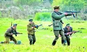У львівській «Зубрі» на Покрову воювали УПА з НКВД