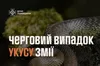На Львівщині жінка потрапила в реанімацію через укус змії