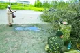«Під виглядом біженців у Західну Україну втекло багато сепаратистів»