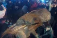 Київського Леніна розібрали на сувеніри