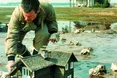 На «КіноЛеві-2013» покажуть Тарковського