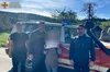 Блукала по лісі добу: львівські рятувальники відшукали жінку