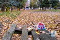 «Камінці на щастя» з’явилися на вулицях Краматорська