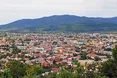 Чудотворна ікона із Закарпаття зцілює у… Відні