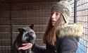 Підібрала безпритульних беззахисних лисиць…