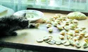 Томкові смакує тільки крадене