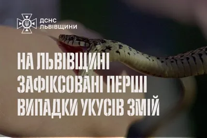 Фото: Головне управління ДСНС України у Львівській області