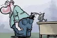 Навіть матері вночі не розпізнають голоси своїх дітей