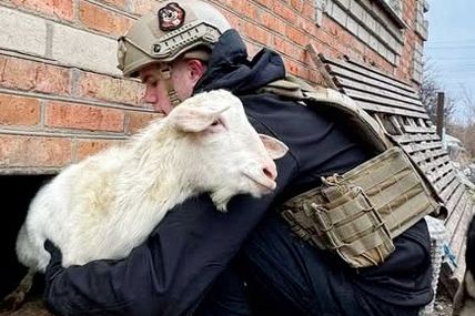 Приїхали у прифронтове місто рятувати звірят