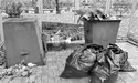 Першу леді виставили... на смітник