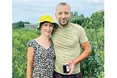 Вирощують синю та рожеву лохину
