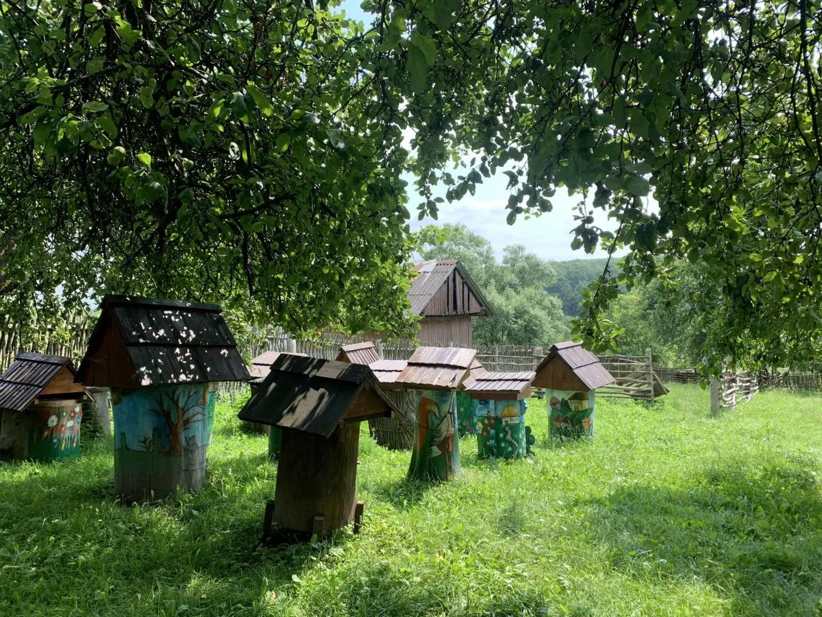 Пасіка