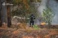 Гасили ліс дев’ять днів (ФОТО, ВІДЕО)