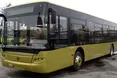 «Полювання» на міські автобуси