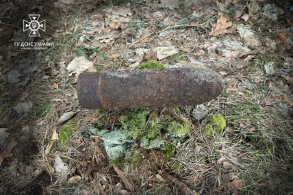 Фото: Головне управління ДСНС України у Львівській області