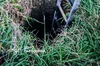 На Львівщині рятувальники дістали з каналізації собаку