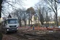 Замість дев’ятьох дерев зрубали шістнадцять