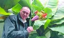Тропічні фрукти — на власному подвір'ї