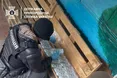 Ще один «бізнес» на перетині кордону викрили в Одеській області