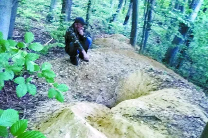Сліди будівельних робіт, якими займалися борсуки.