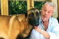Заповіту зірки не виконали. І добре зробили!