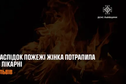 Фото: ДСНС Львівщини