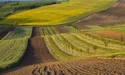 Мігранти в Криму грабують землю півострова…