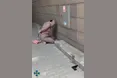 СБУ повідомила про підозру нападниці на Сергія Стерненка