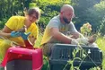 Одні рятують і дають волю соколам…