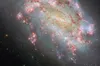 Hubble поблизу Великої Магелланової Хмари показав надзвичайну спіральну галактику