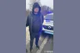 Поліцейські встановили попередню причину масштабної ДТП на Львівщині, внаслідок якої загинуло семеро людей та ще троє травмовано