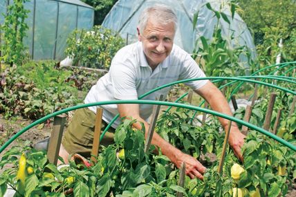 Із доглянутих грядок — висока віддача