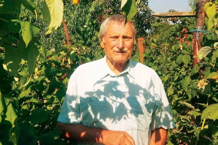 Зіновій Михайлович аж до холодів збирає налиті сонцем ягоди. Фото зі сімейного архіву родини Шалаїв