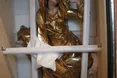 Пінзель повернувся до Львова