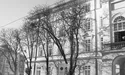Площу Ринок позбавлять «зелених легень»