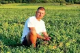 Львівські лани дають смачні кавуни