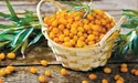 Корисні продукти