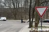 У Львові на вулиці Панаса Мирного внаслідок зіткнення з автомобілем травмований мотоцикліст