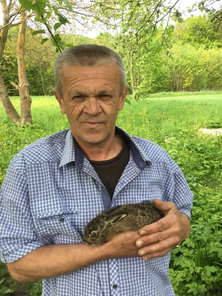 Природоохоронці радять підбирати потомство дичини лише у крайньому разі - коли йому загрожує небезпека. Фото автора.