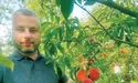 Персики вимагають старанного догляду