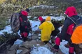 Рятувальники допомогли туристці, що заблукала на Говерлі (ФОТО)