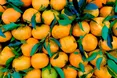 Мандарини як символ достатку