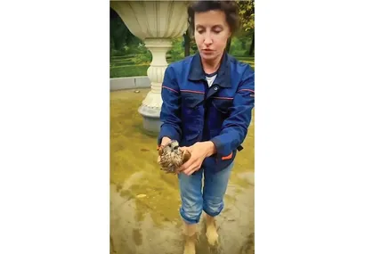 Фото зі сторінки П. Порошенка у соцмережах