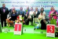 Найкращою стала «Смородина — мрія життя»