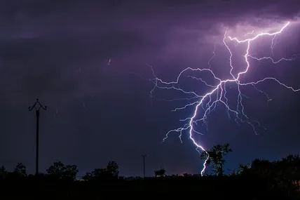 Фото ілюстративне із сайту Pexels