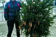 «Яка міліція? Які чіпи? Нарубали ялинок і привезли на базар...»