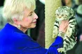 Кіт «без регалій» – 1,5 тис. гривень.