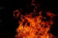 Поблизу сміттєзвалища на Львівщині знайшли тіло дитини